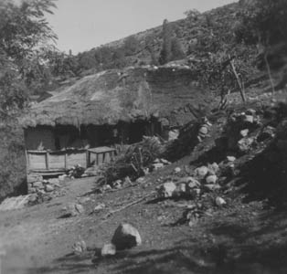 eika image